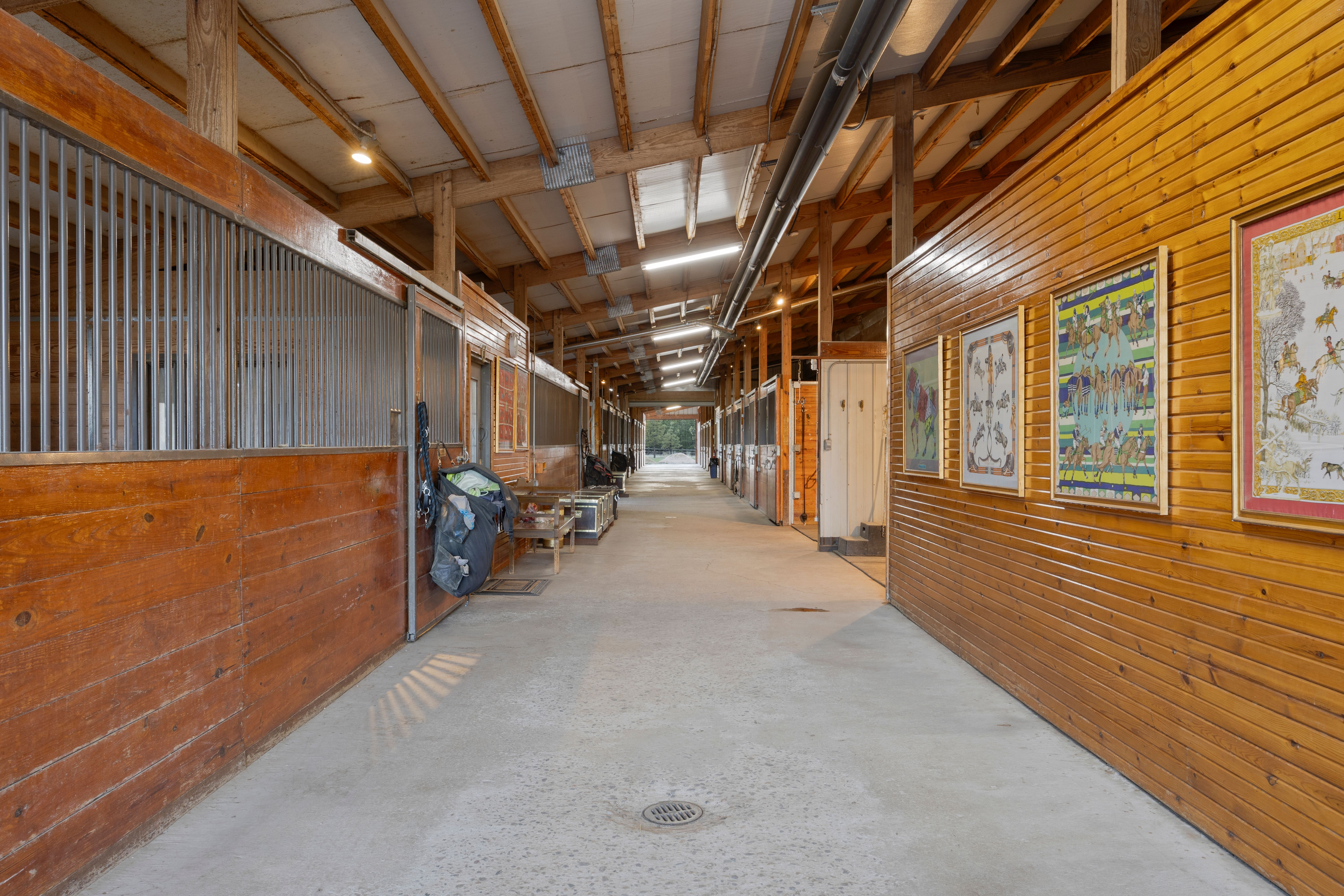  Equestrian Desert Contemporary Estate with Stable & Indoor Arena - 物件實景