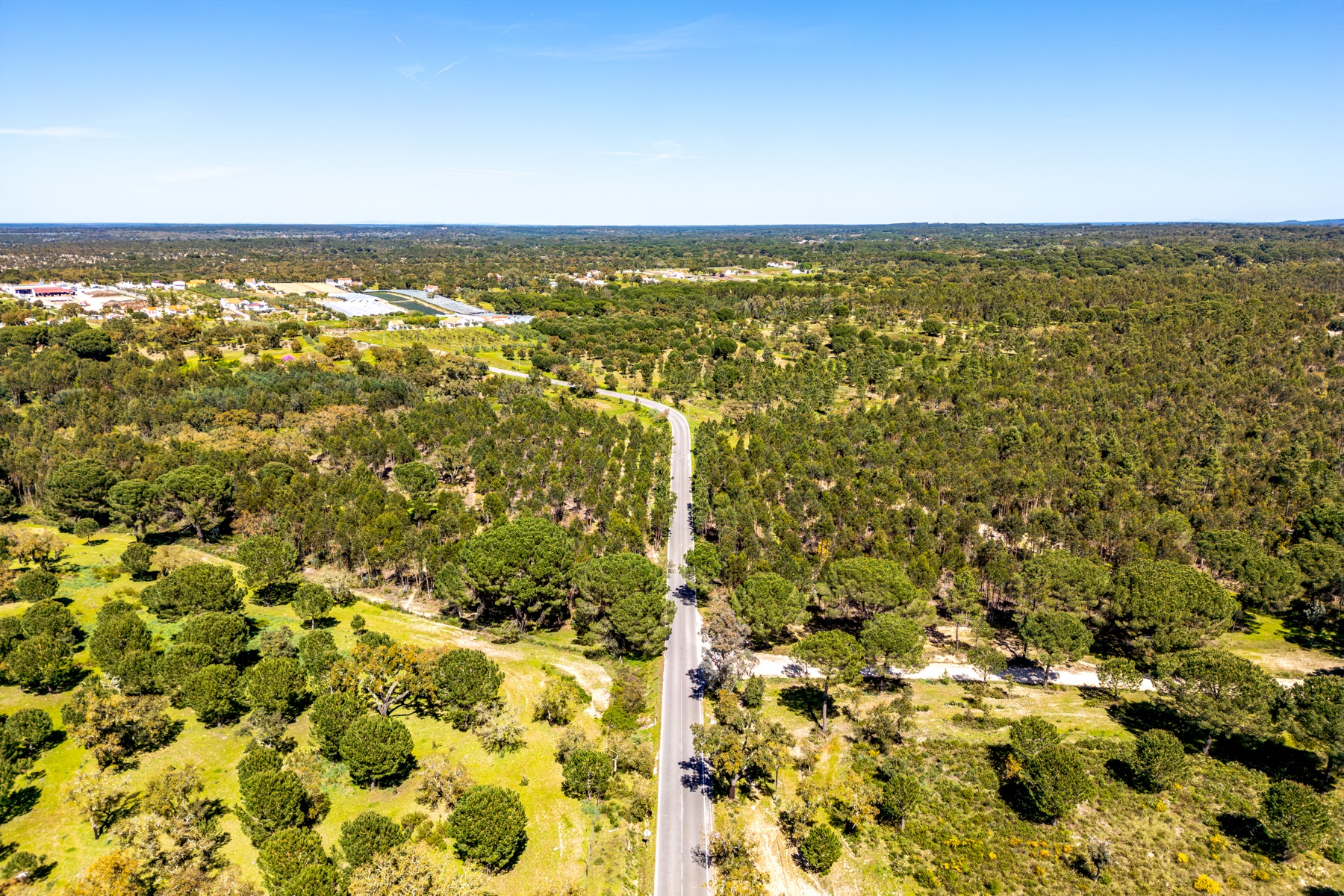 Stand for Sale - 物件實景
