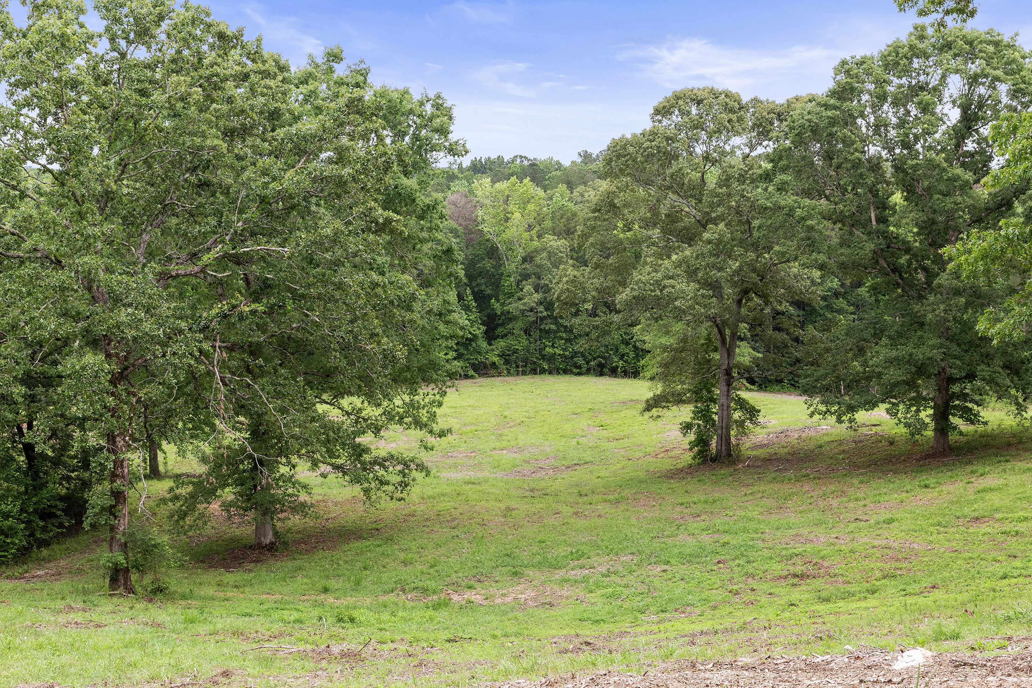  A Perfect Blend of Privacy and Natural Beauty in Newnan - 物件實景