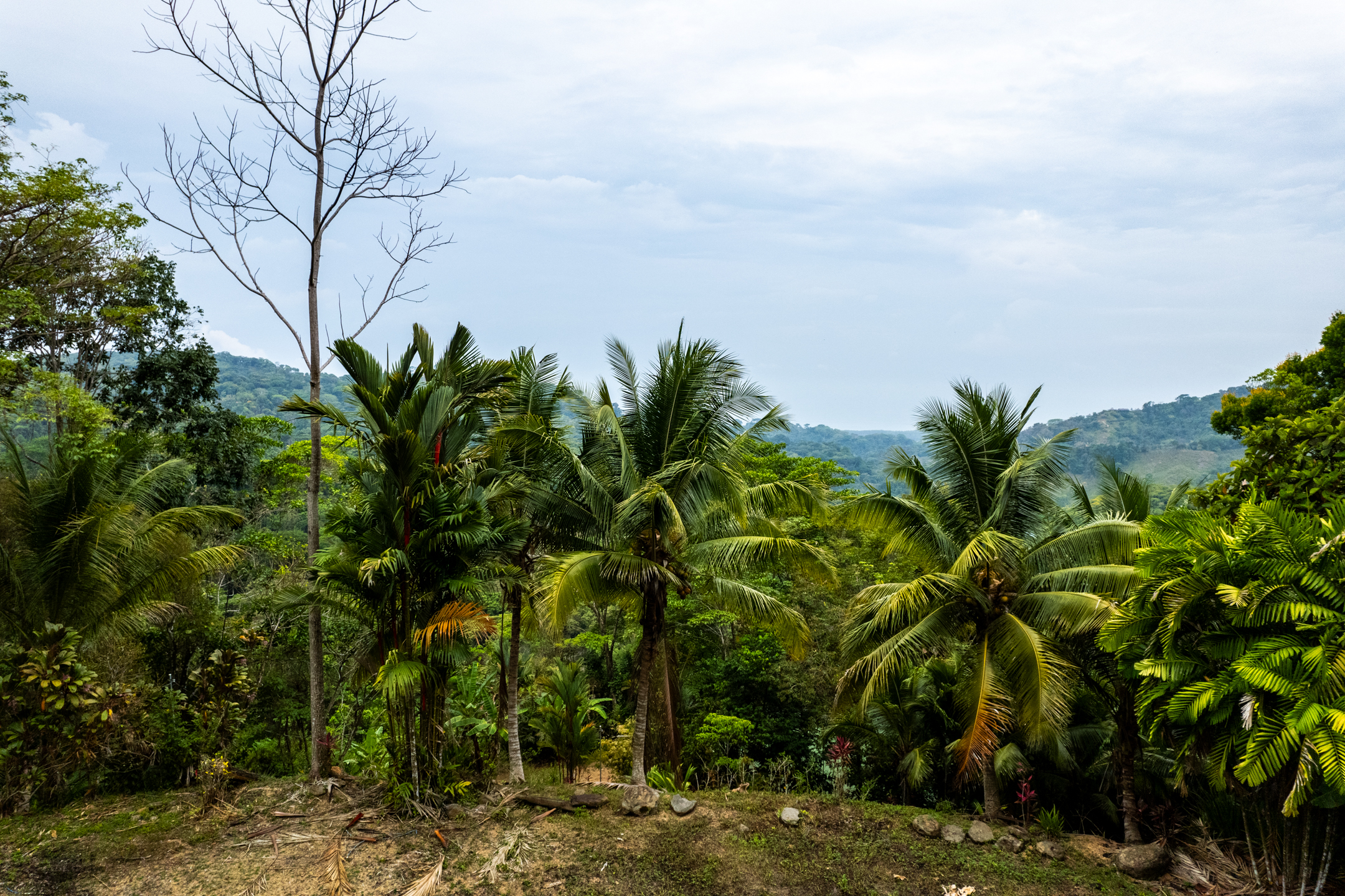 Lagunas, Dominical, Puntarenas, CR, 2 Bedrooms Bedrooms, ,1 BathroomBathrooms,Land,For Sale,Lagunas,1589118