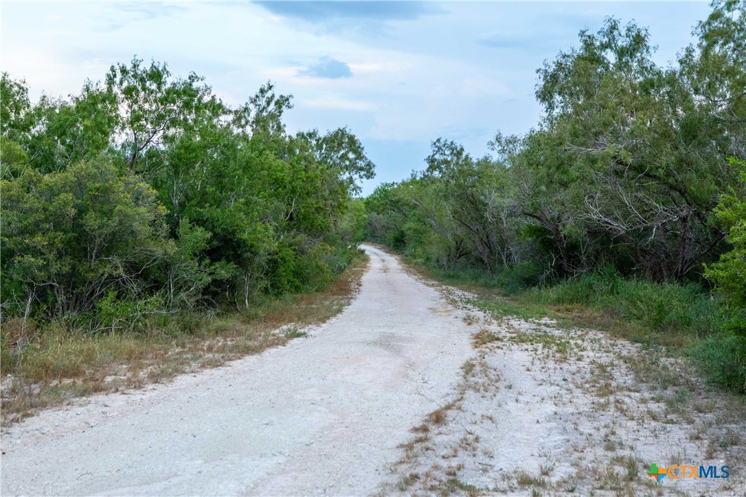 000 CR376, George West, Texas, 78022, United States, ,Land,For Sale,000 CR376,1676850
