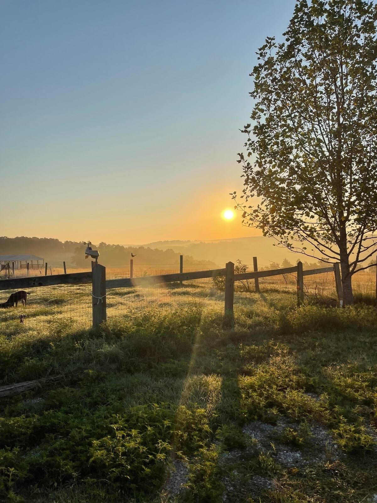 Mountain View, Arkansas, 72560, United States, 4 Bedrooms Bedrooms, ,2 BathroomsBathrooms,Residential,For Sale,1988851