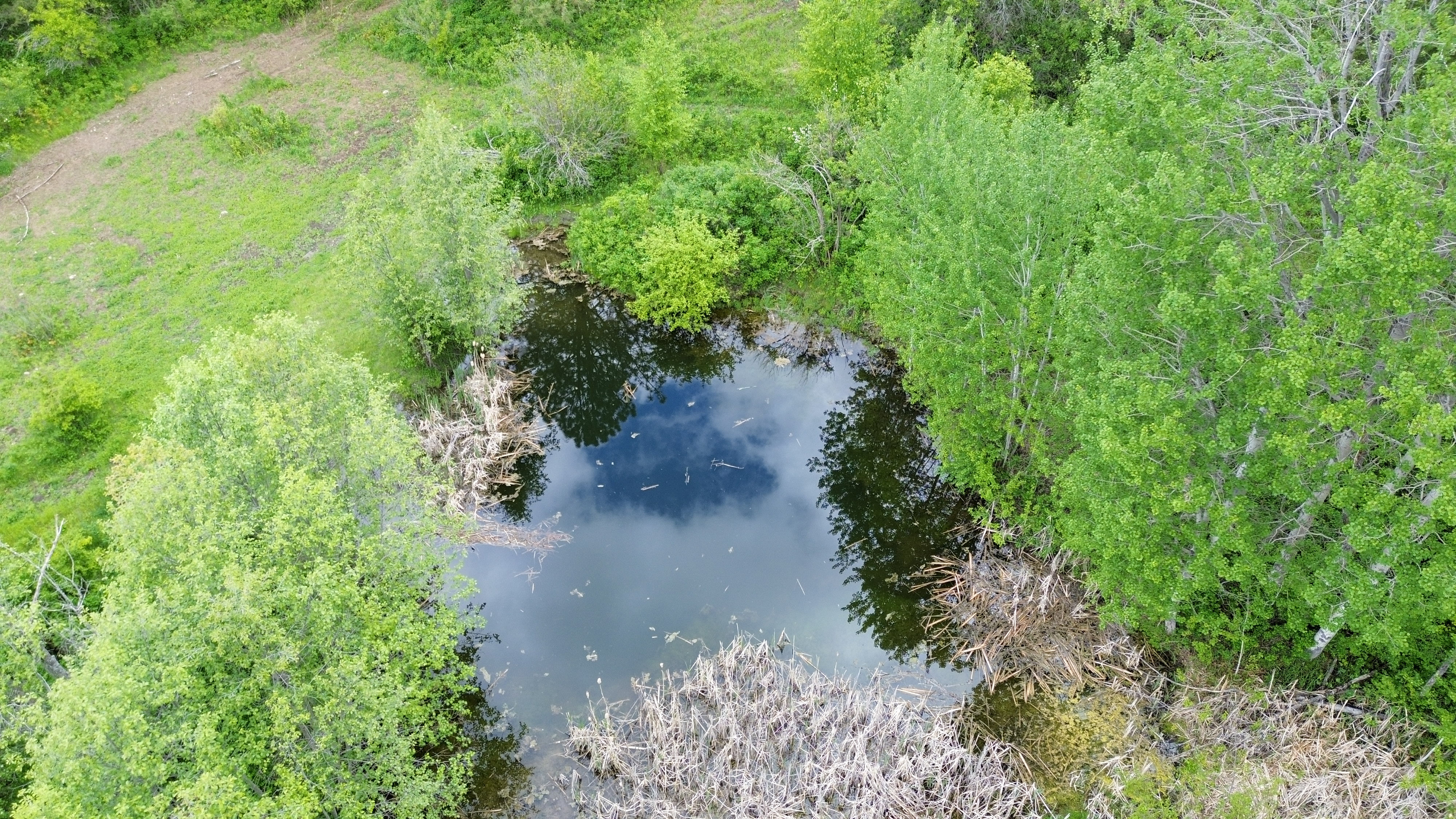 Kettle Falls, Washington, 99141, United States, 3 Bedrooms Bedrooms, ,2 BathroomsBathrooms,Residential,For Sale,1985709