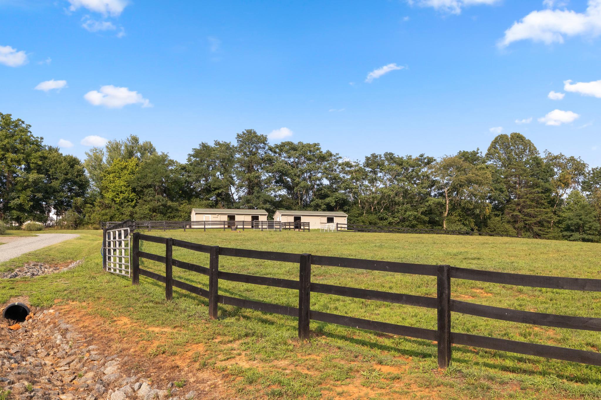  2236 Craigs Store, Afton, VA, 22920 - 物件實景