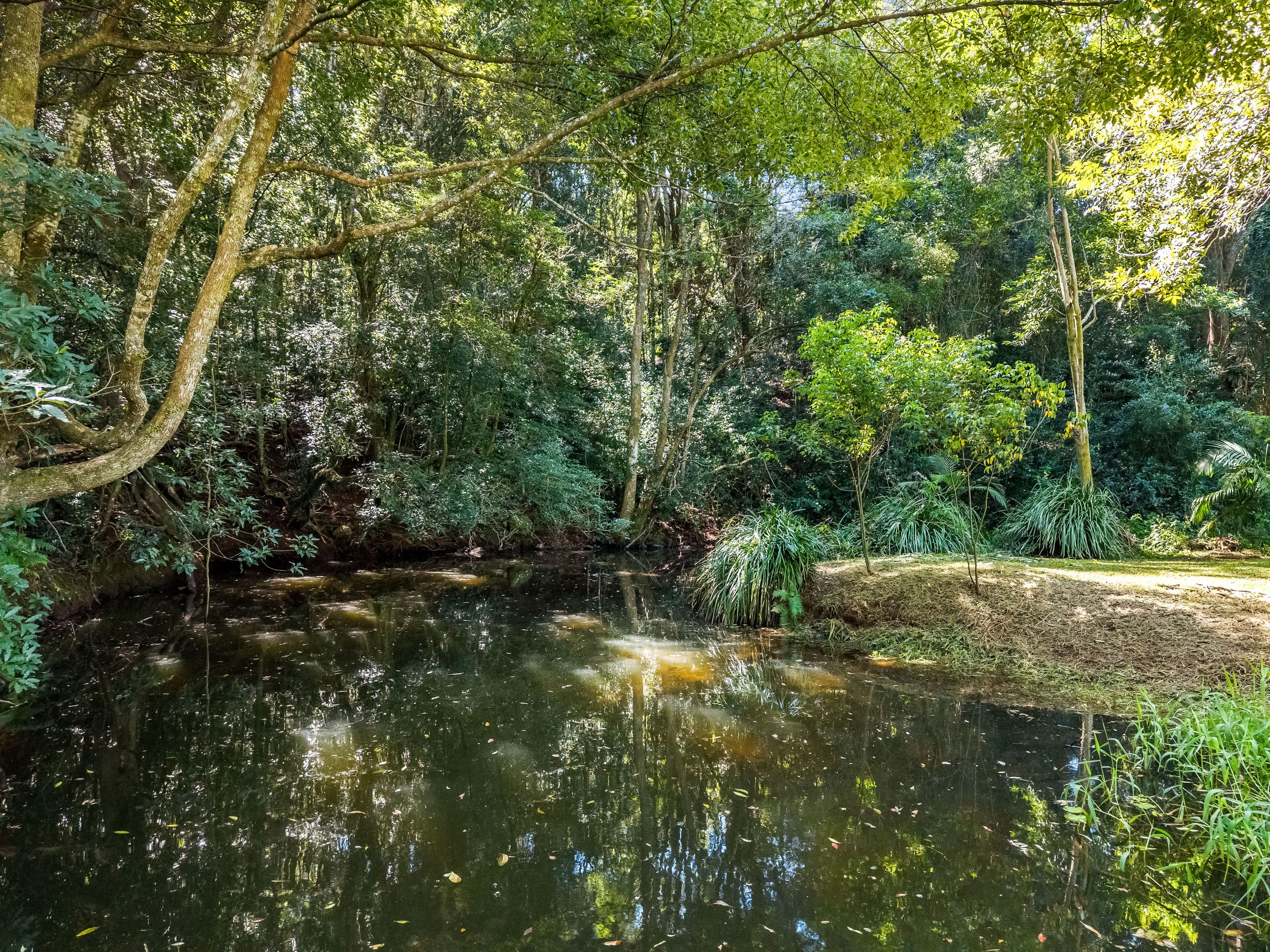  120 Alstonvale Road, Alstonvale - 物件實景