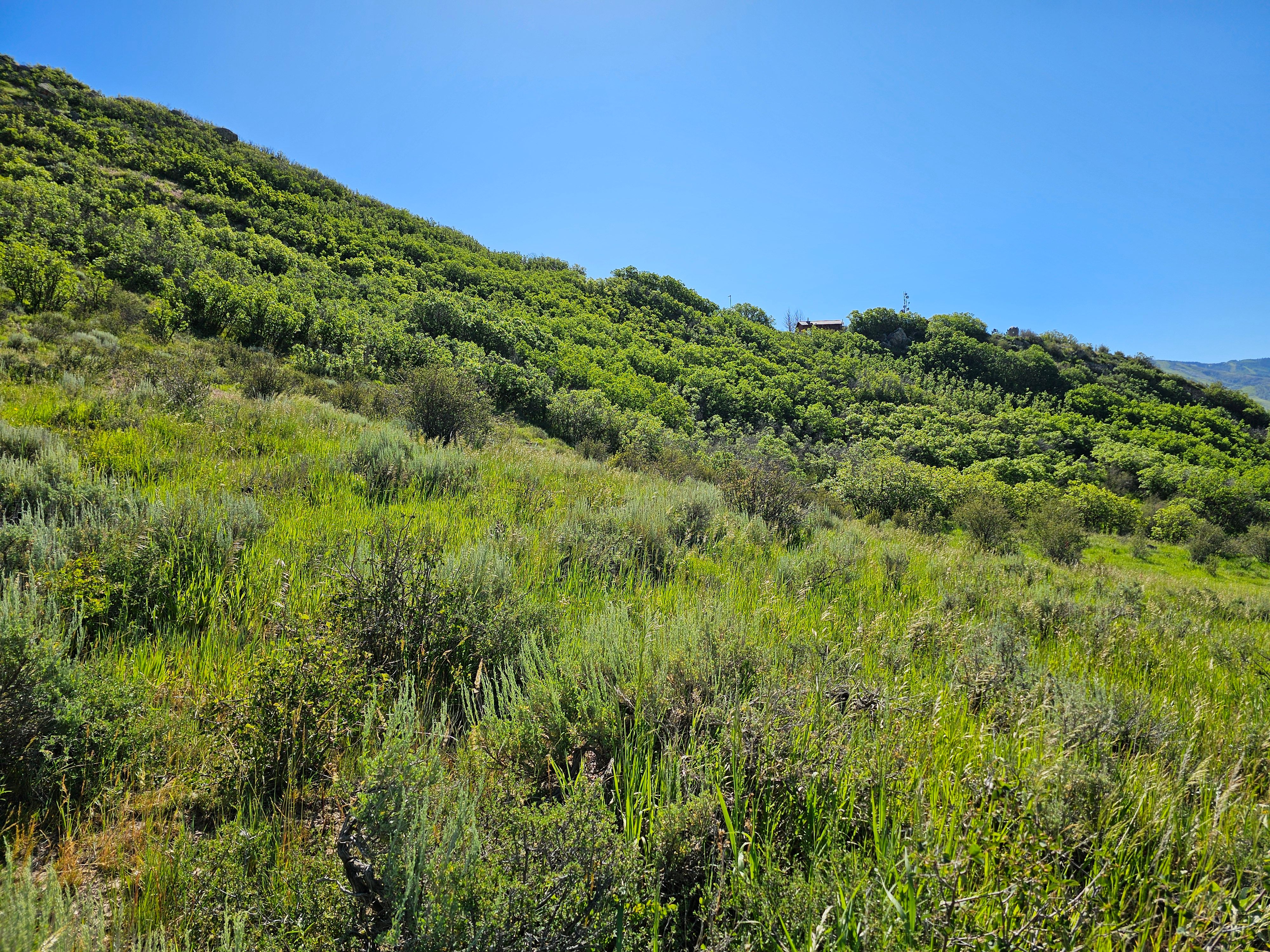 1327 Indian Trail, Steamboat Springs, CO, 80487 - 物件實景