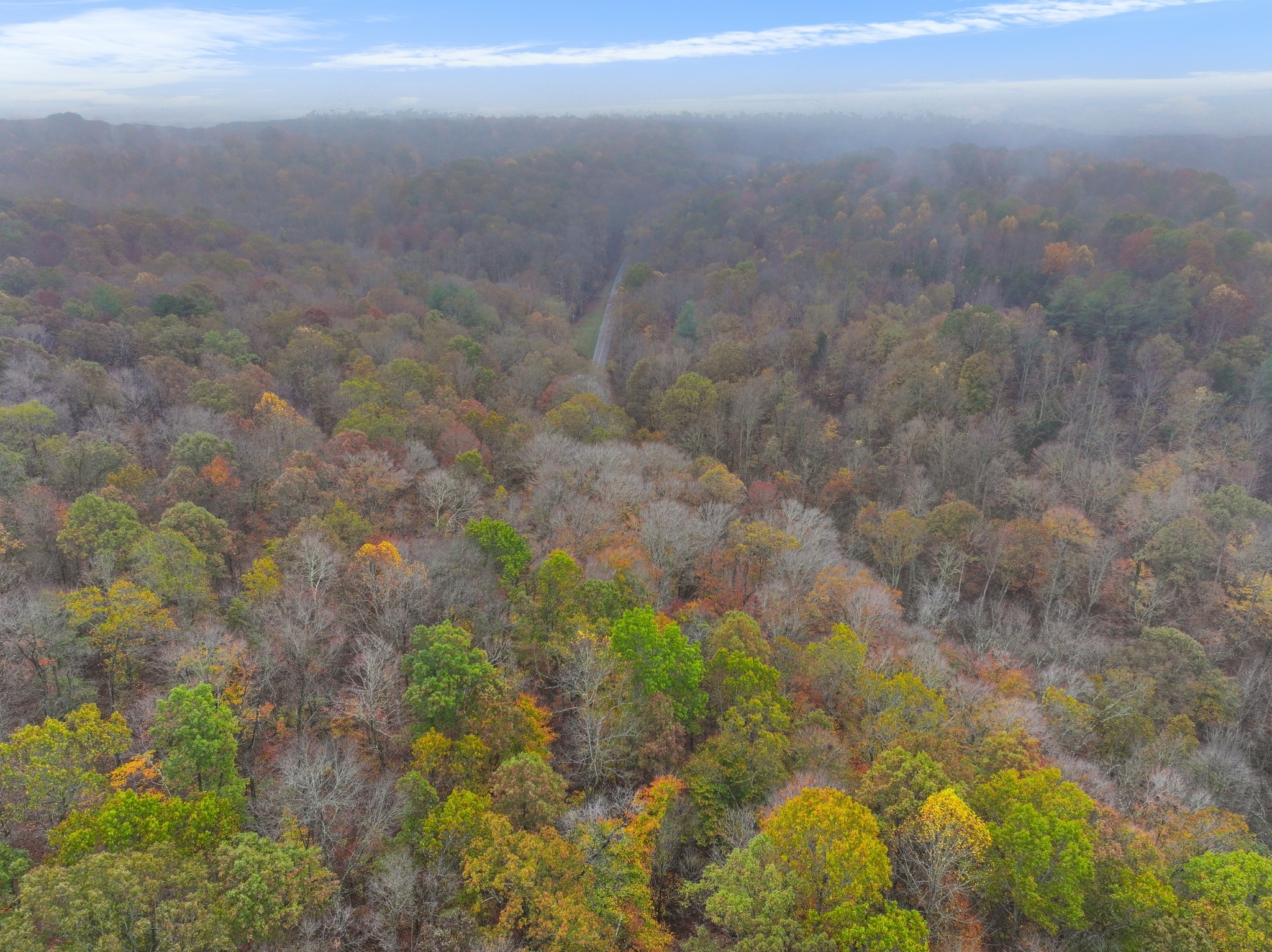 Cunningham, Tennessee, 37052, United States, ,Residential,For Sale,1920443