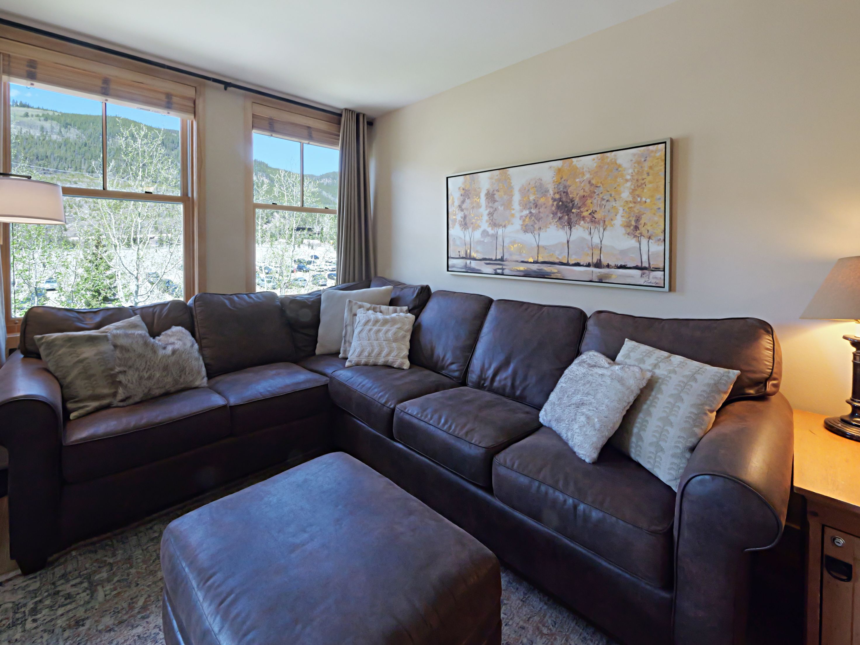  140 Ida Belle Drive, Keystone, CO, 80435 - 物件實景