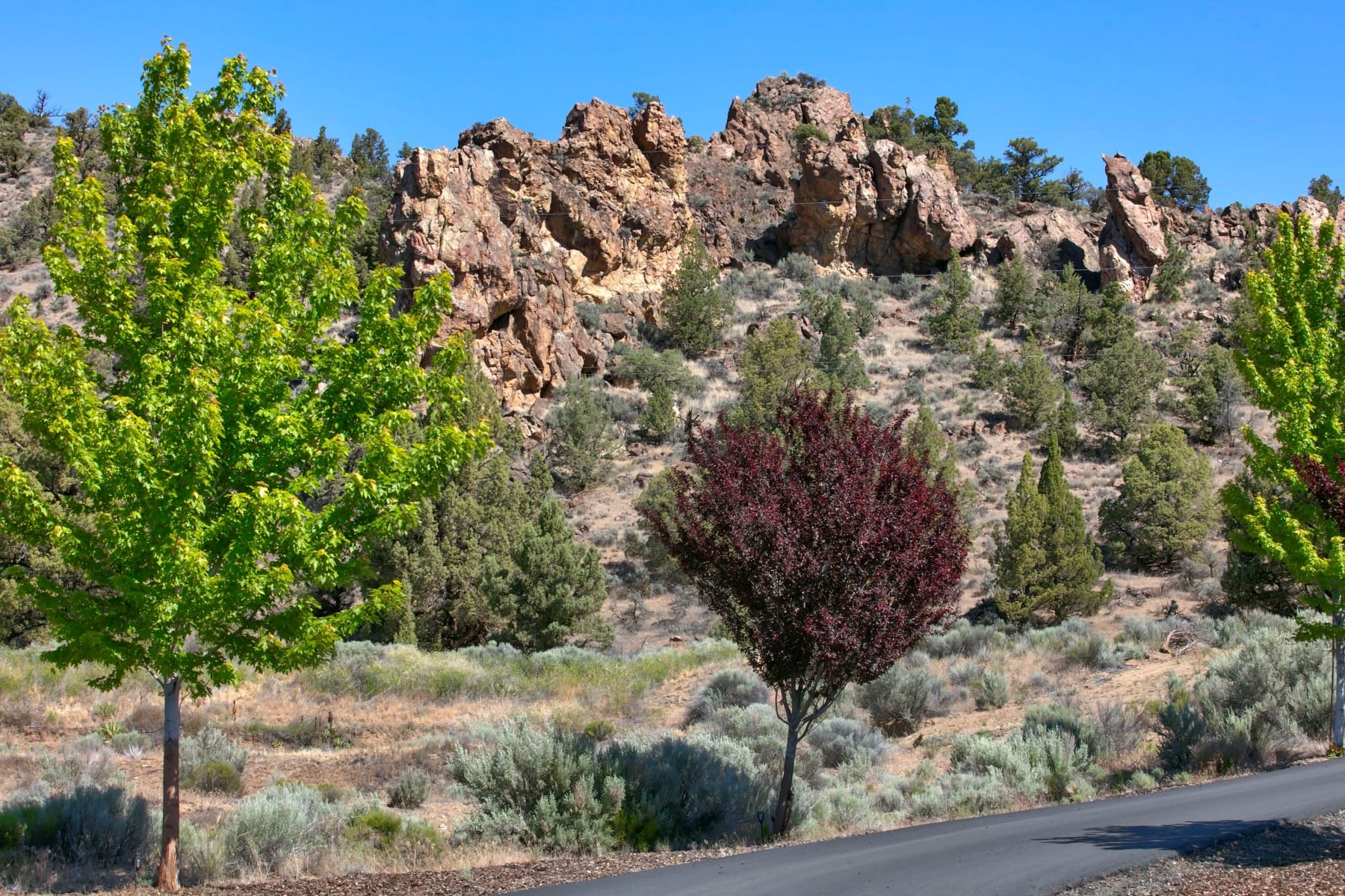  20900 NW Butler Road Terrebonne, OR 97760 - 物件實景