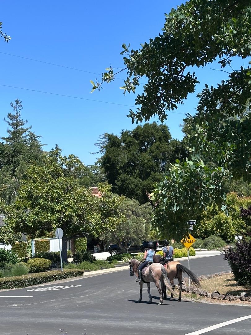Monte Sereno, California, 95030, United States, 5 Bedrooms Bedrooms, ,5 BathroomsBathrooms,Residential,For Sale,1942167