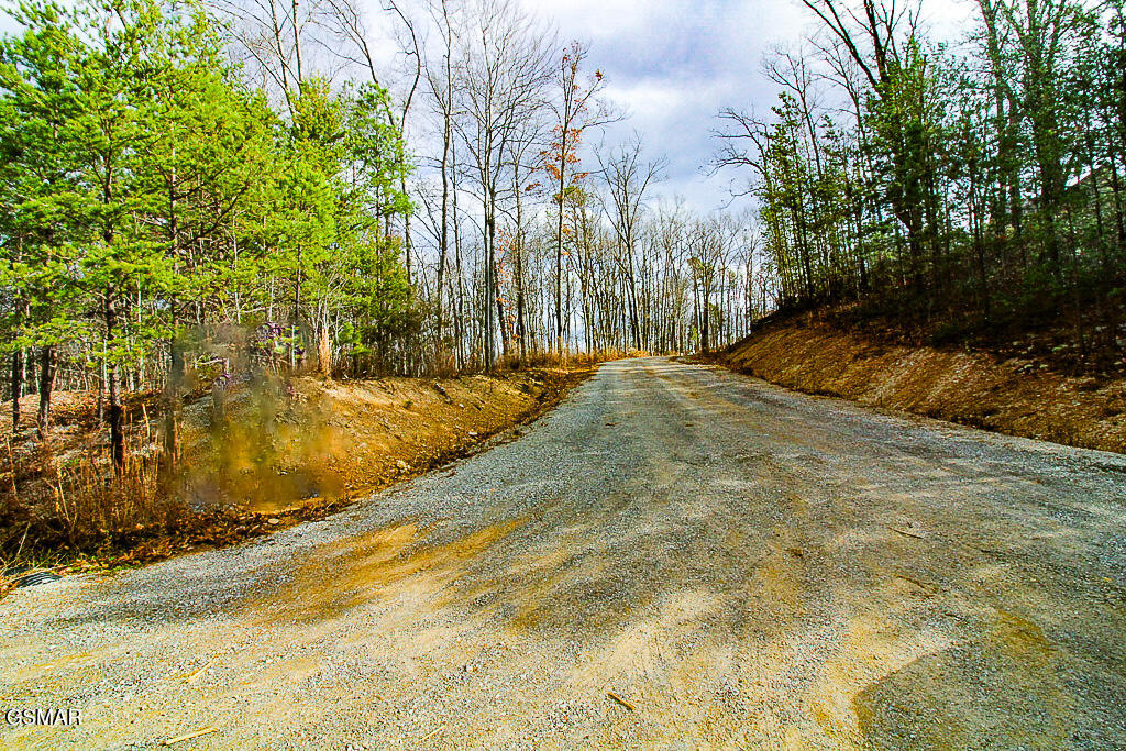 Sevierville, Tennessee, 37876, United States, ,Land,For Sale,2008093