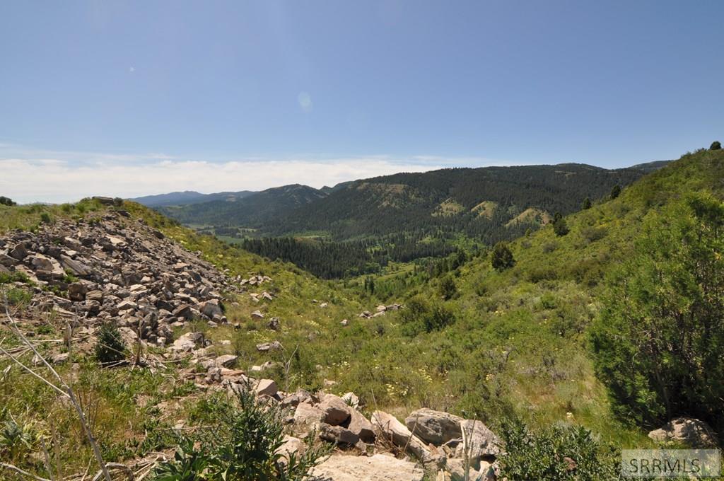 SWAN VALLEY, Idaho, 83449, United States, ,Land,For Sale,1982720