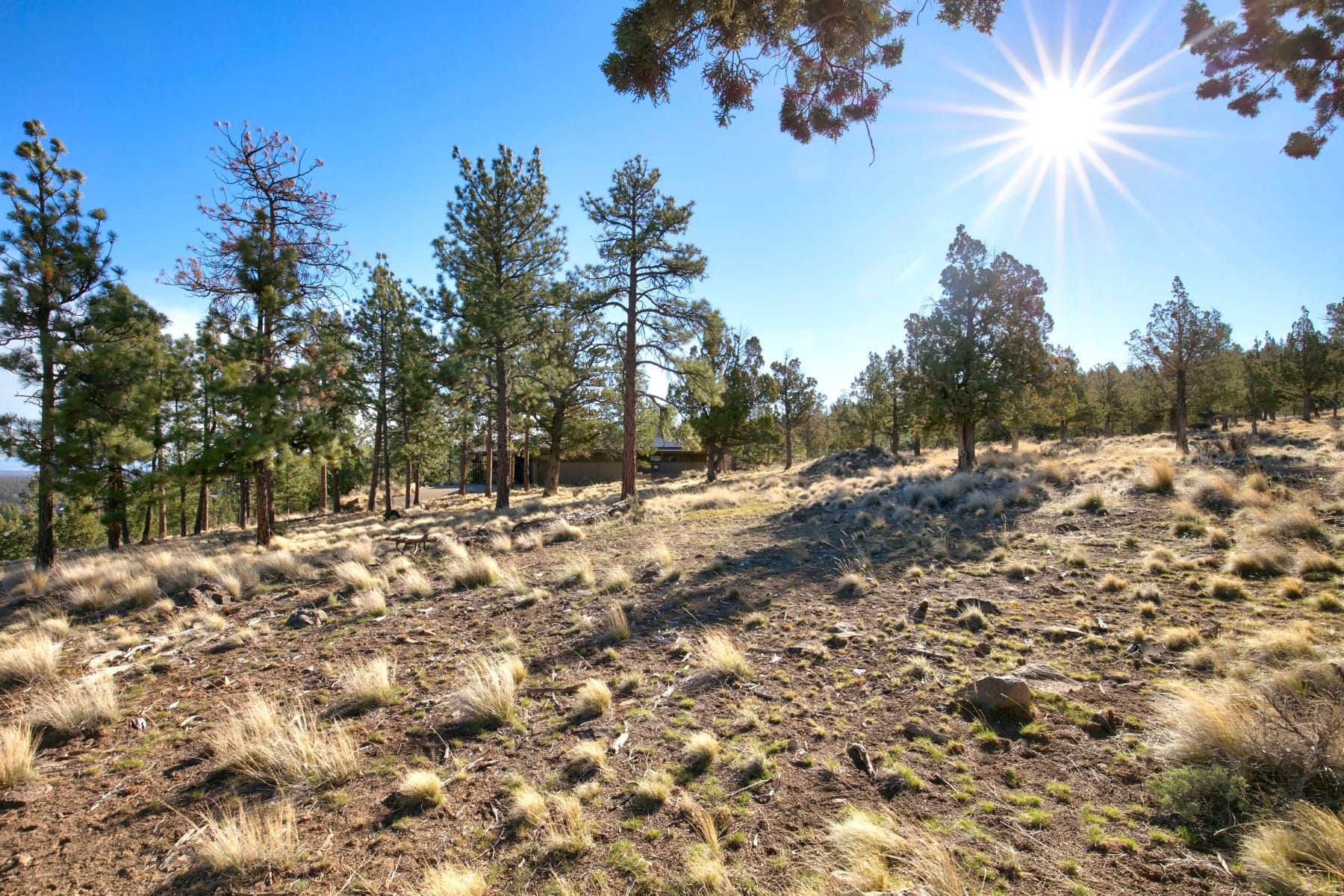  3380 NW Greenleaf Way Bend, OR 97703 - 物件實景