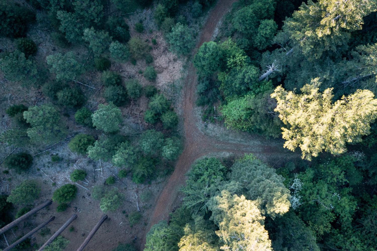 Pollock Pines, California, 95726, United States, ,Residential,For Sale,1982906