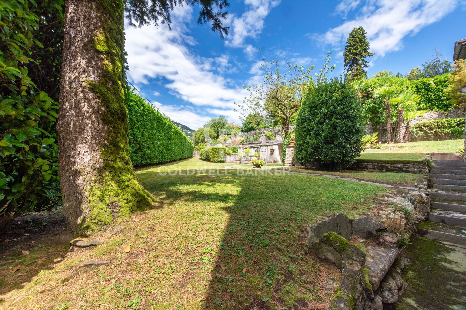 Dizzasco, Como, 22020, IT, 6 Bedrooms Bedrooms, ,3 BathroomsBathrooms,Residential,For Sale,1891110