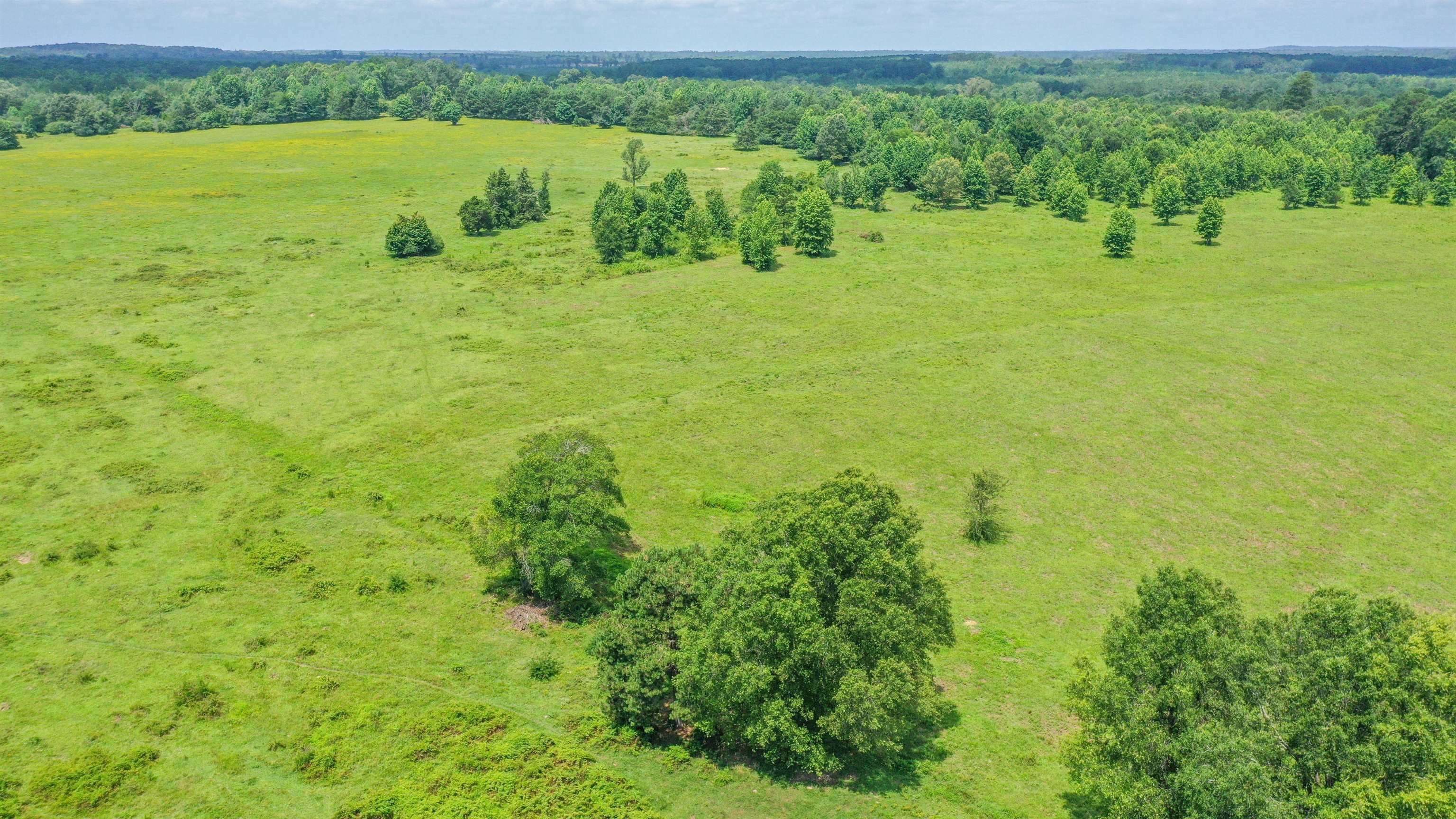 Linden, Texas, 75563, United States, ,Land,For Sale,1975448