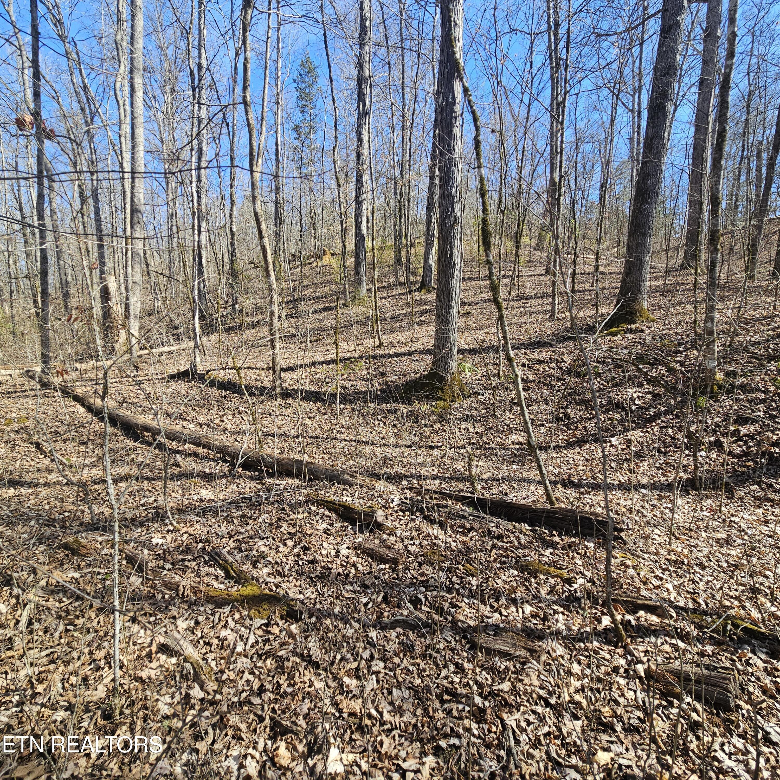 Tellico Plains, Tennessee, 37385, United States, ,Residential,For Sale,1922105
