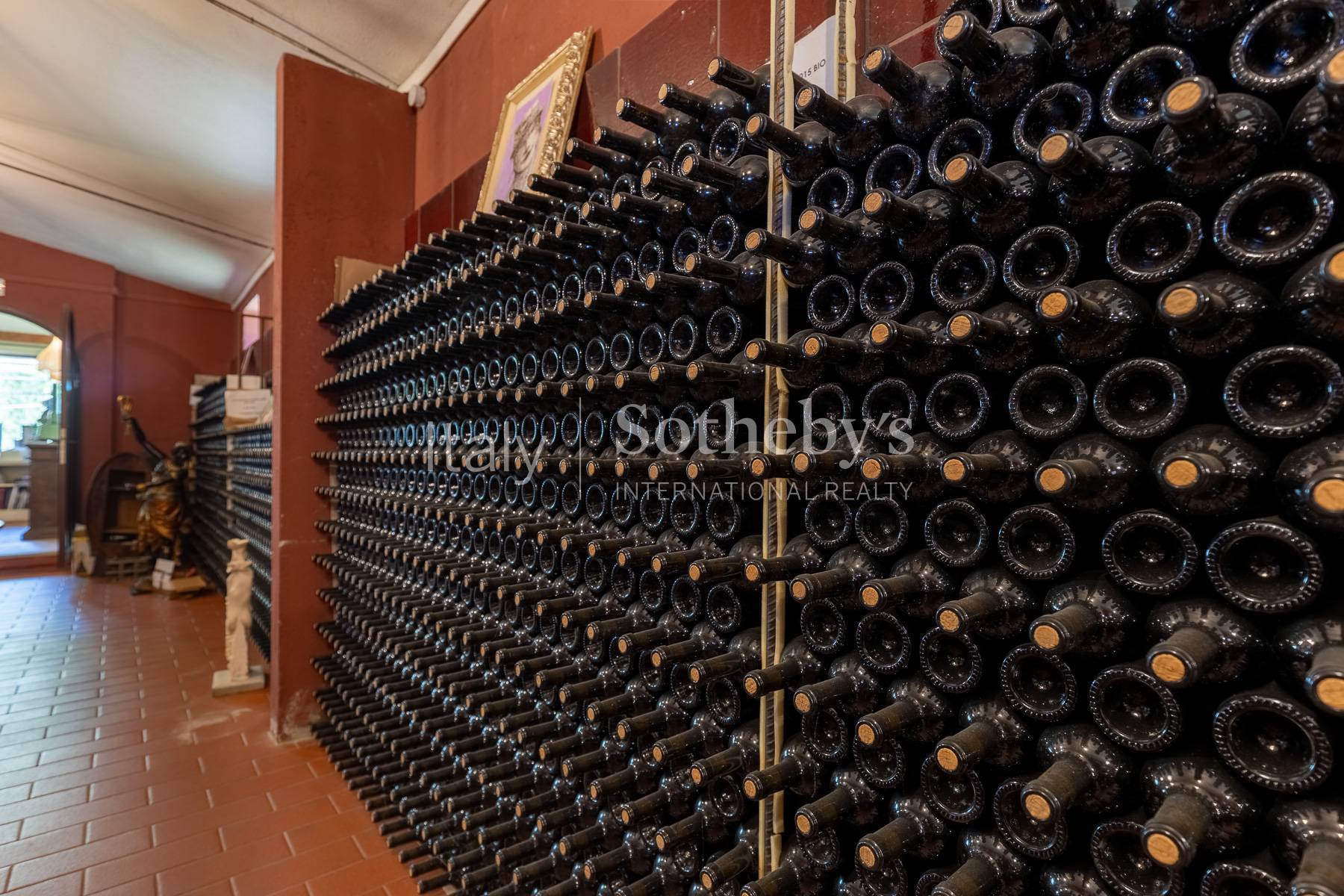  Estate with villa, swimming pool and organic vineyards - 物件實景