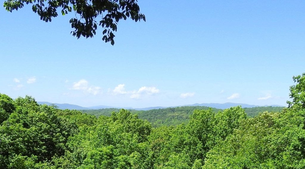 Blue Ridge, Georgia, 30513, United States, 5 Bedrooms Bedrooms, ,5 BathroomsBathrooms,Residential,For Sale,1859095