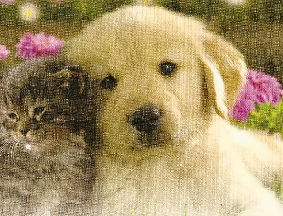 Boynton Beach, Florida, 33437, United States, 3 Bedrooms Bedrooms, ,2 BathroomsBathrooms,Residential,For Sale,1972463