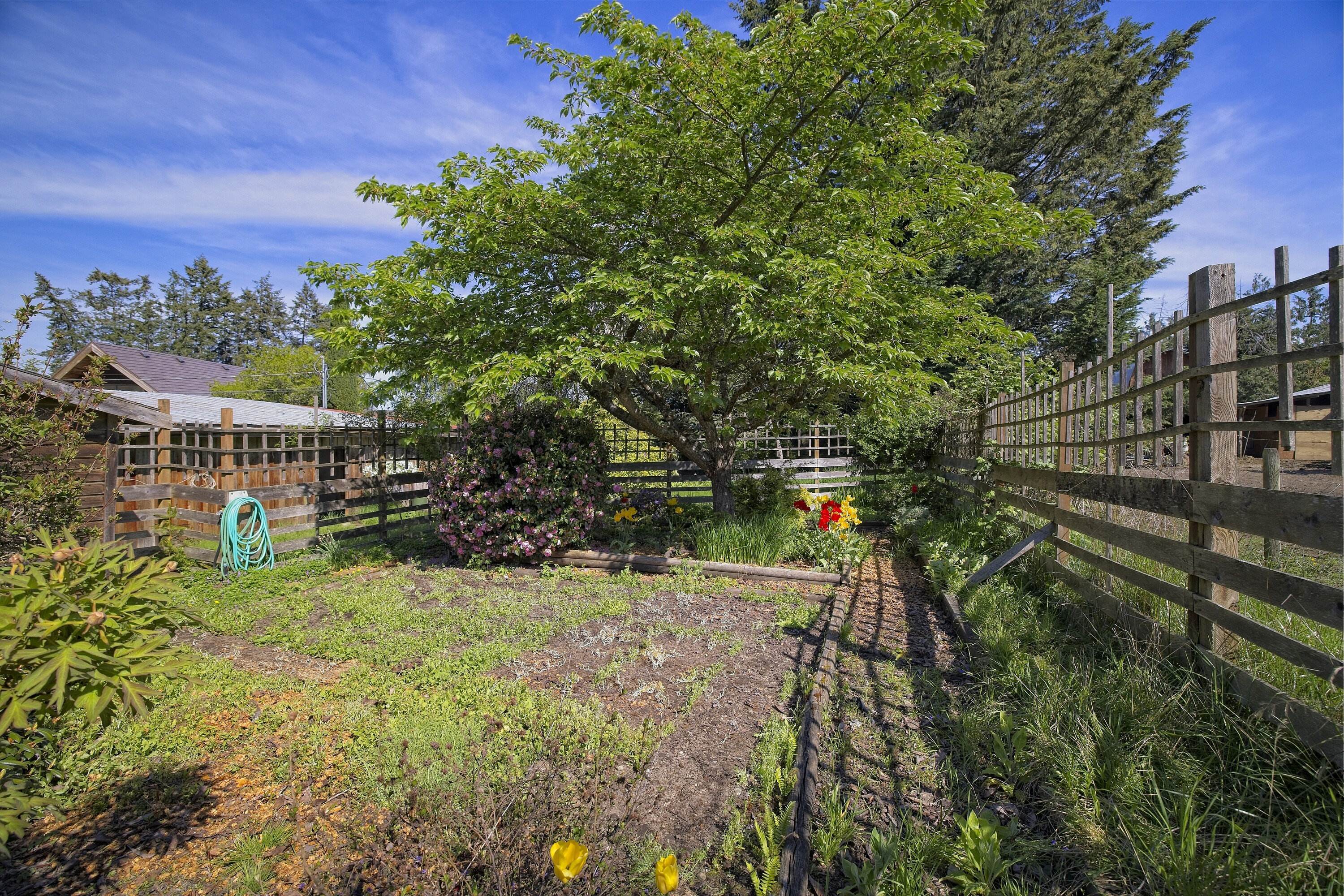  Bullfinch Farm - 物件實景