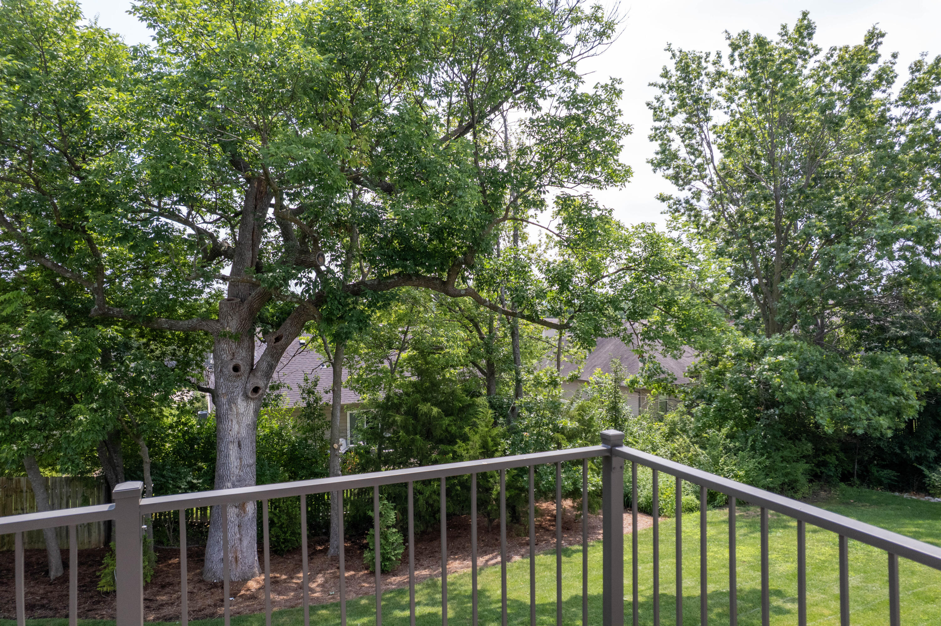 COLUMBIA, Missouri, 65203, United States, 5 Bedrooms Bedrooms, ,3 BathroomsBathrooms,Residential,For Sale,1976271