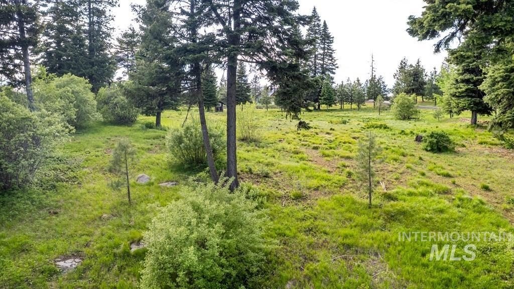 McCall, Idaho, 83638, United States, ,Land,For Sale,1983589
