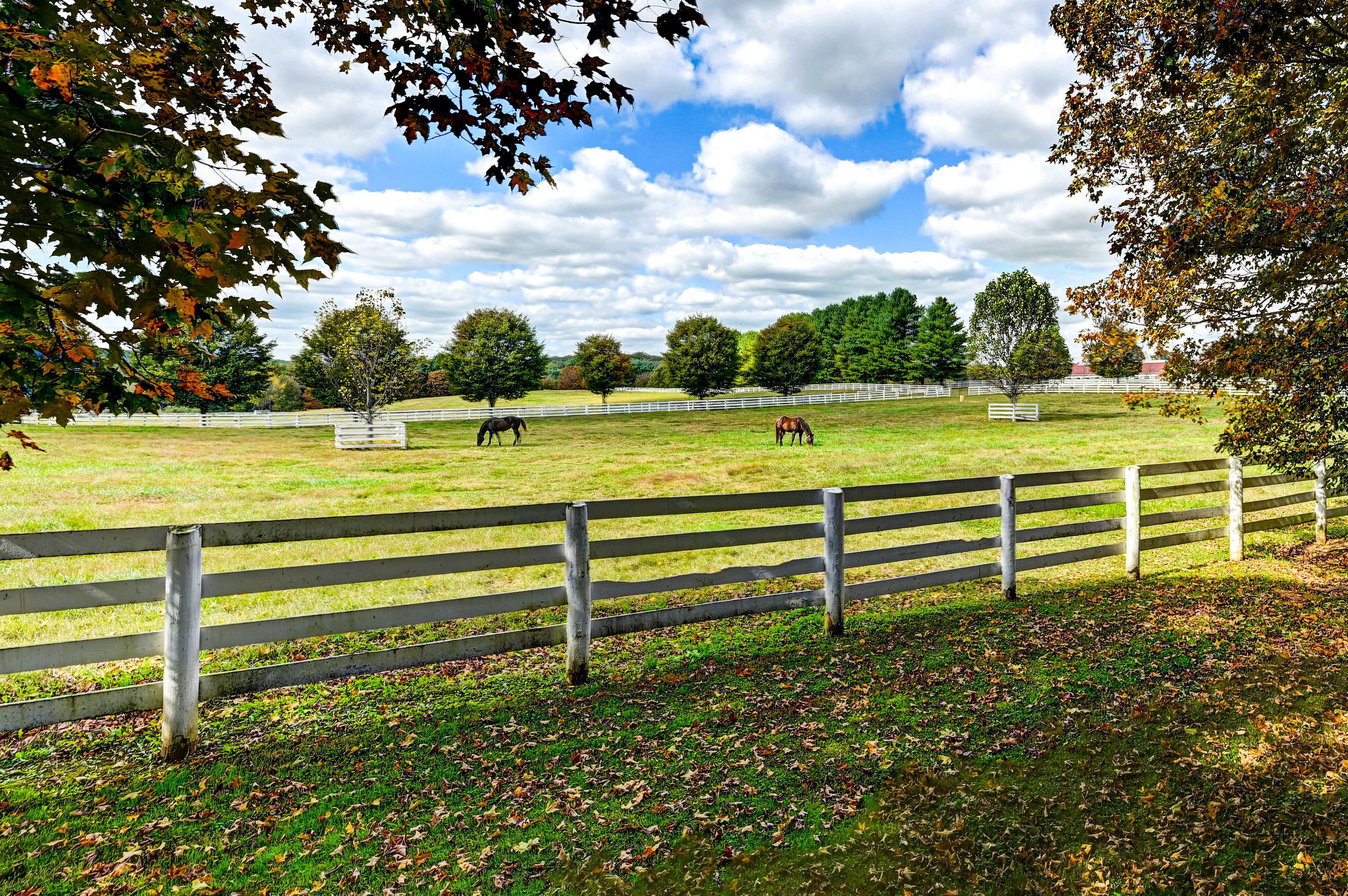  Worthington Valley - 物件實景