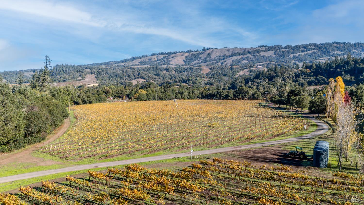 Philo, California, 95466, United States, 3 Bedrooms Bedrooms, ,3 BathroomsBathrooms,Residential,For Sale,1987364