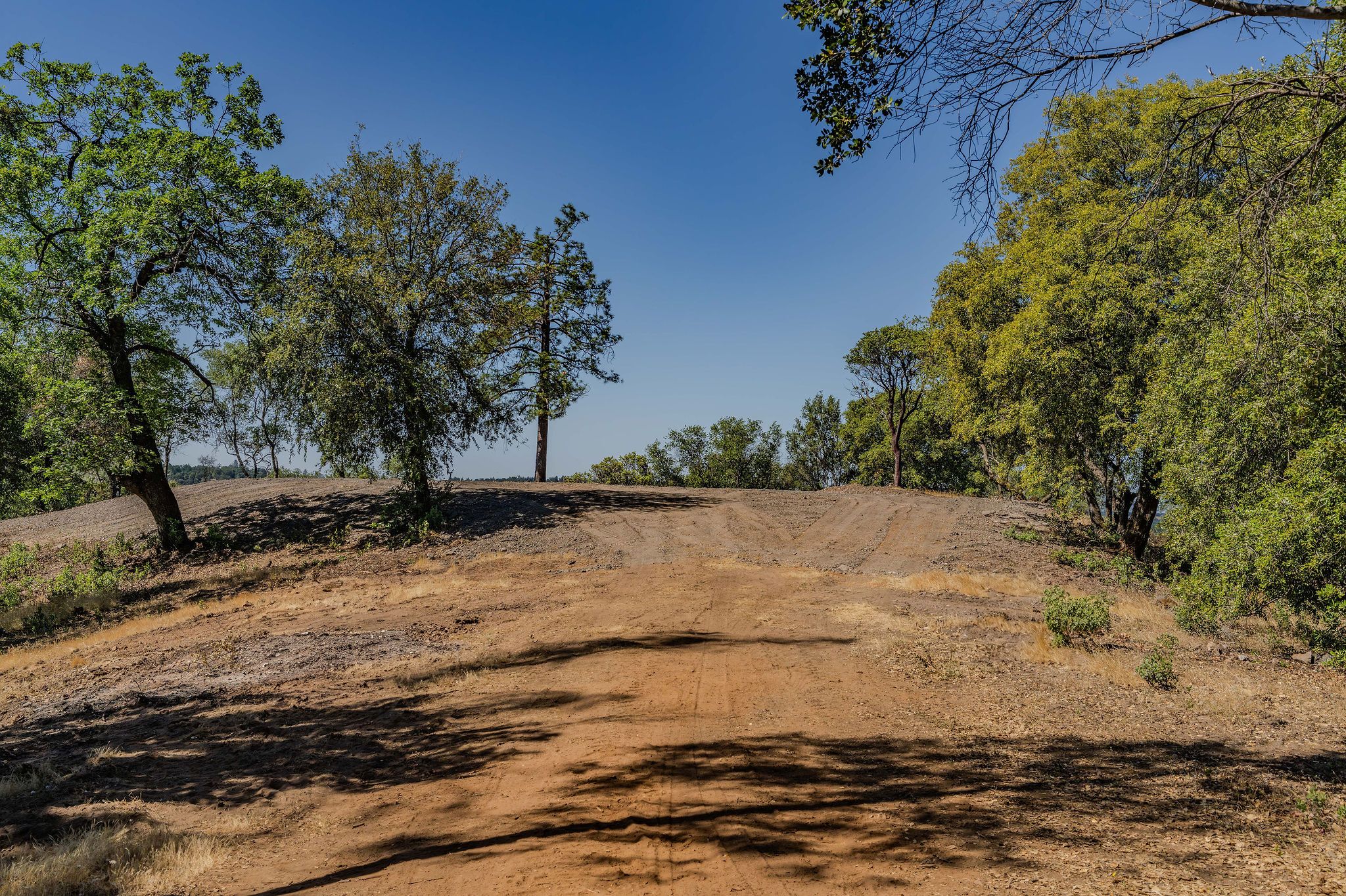  Sutter Highlands Drive, Sutter Creek, CA 95685 - 物件實景