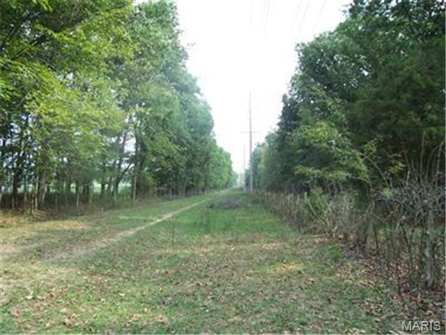 Farmington, Missouri, 63640, United States, ,Land,For Sale,1941650