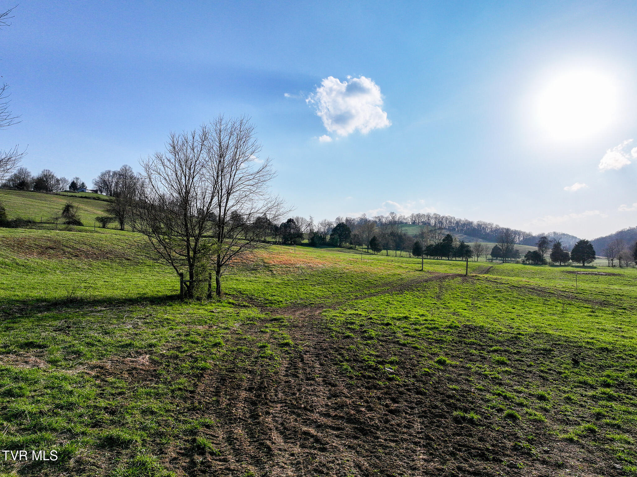 Chuckey, Tennessee, 37641, United States, ,Land,For Sale,2031699
