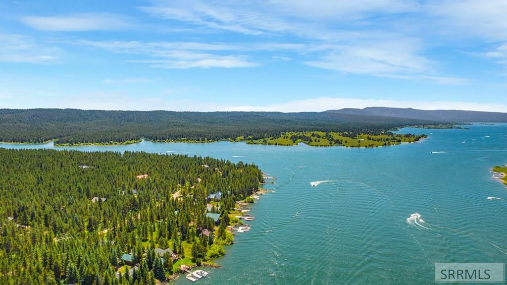 Island Park, Idaho, 83429, United States, ,Residential,For Sale,1750441