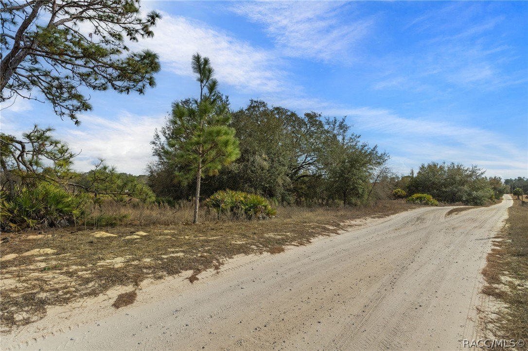 Homosassa, Florida, 34446, United States, ,Land,For Sale,2018262