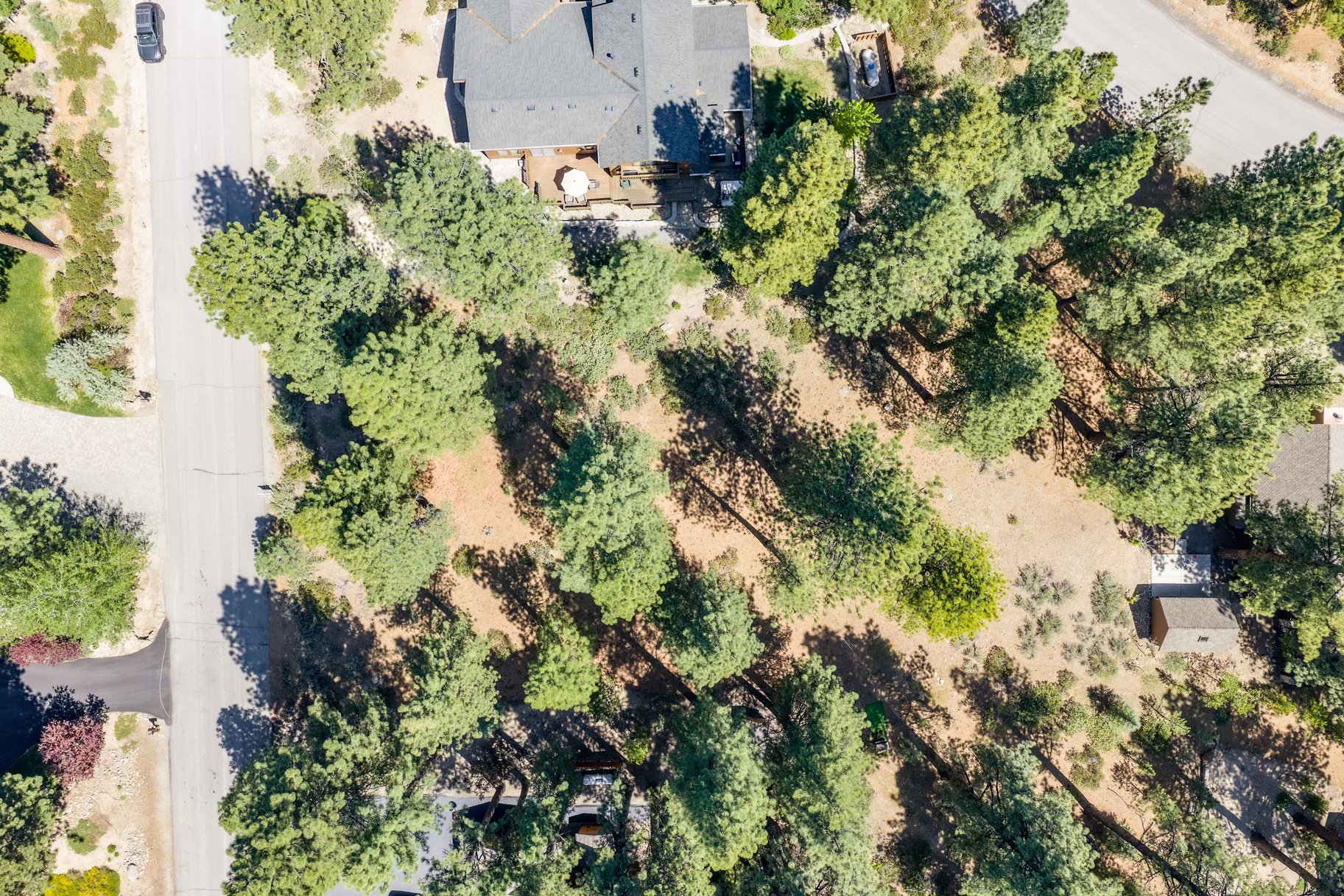  Private Galena Forest Parcel Near Mt. Rose with Pines & Tahoe Access - 物件實景