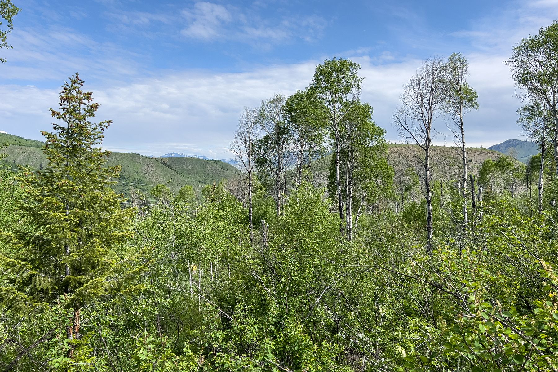  Rodeo Road - 物件實景