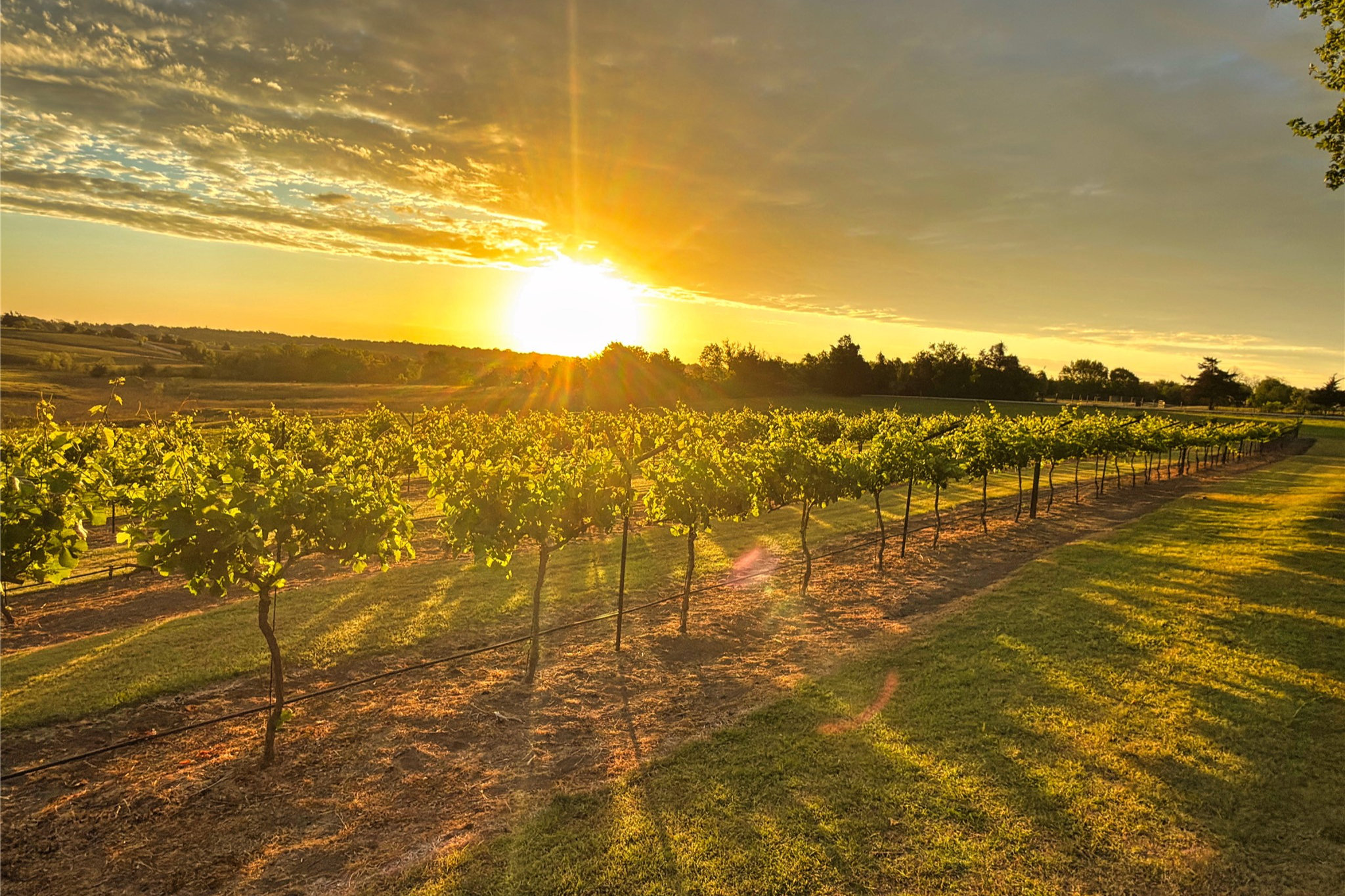  5025 Wickel Road - 物件實景