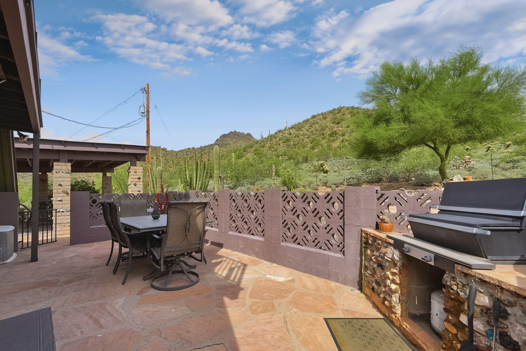  2756 N 113th Street¦Mesa, AZ - 物件實景