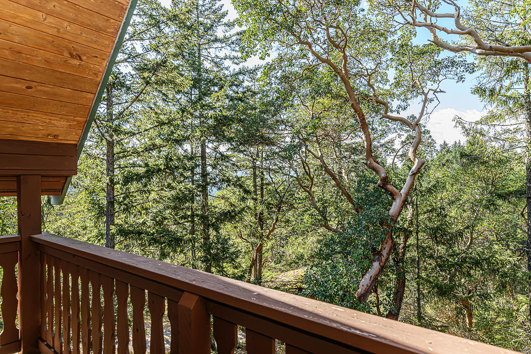  Private Highlands Retreat - 物件實景