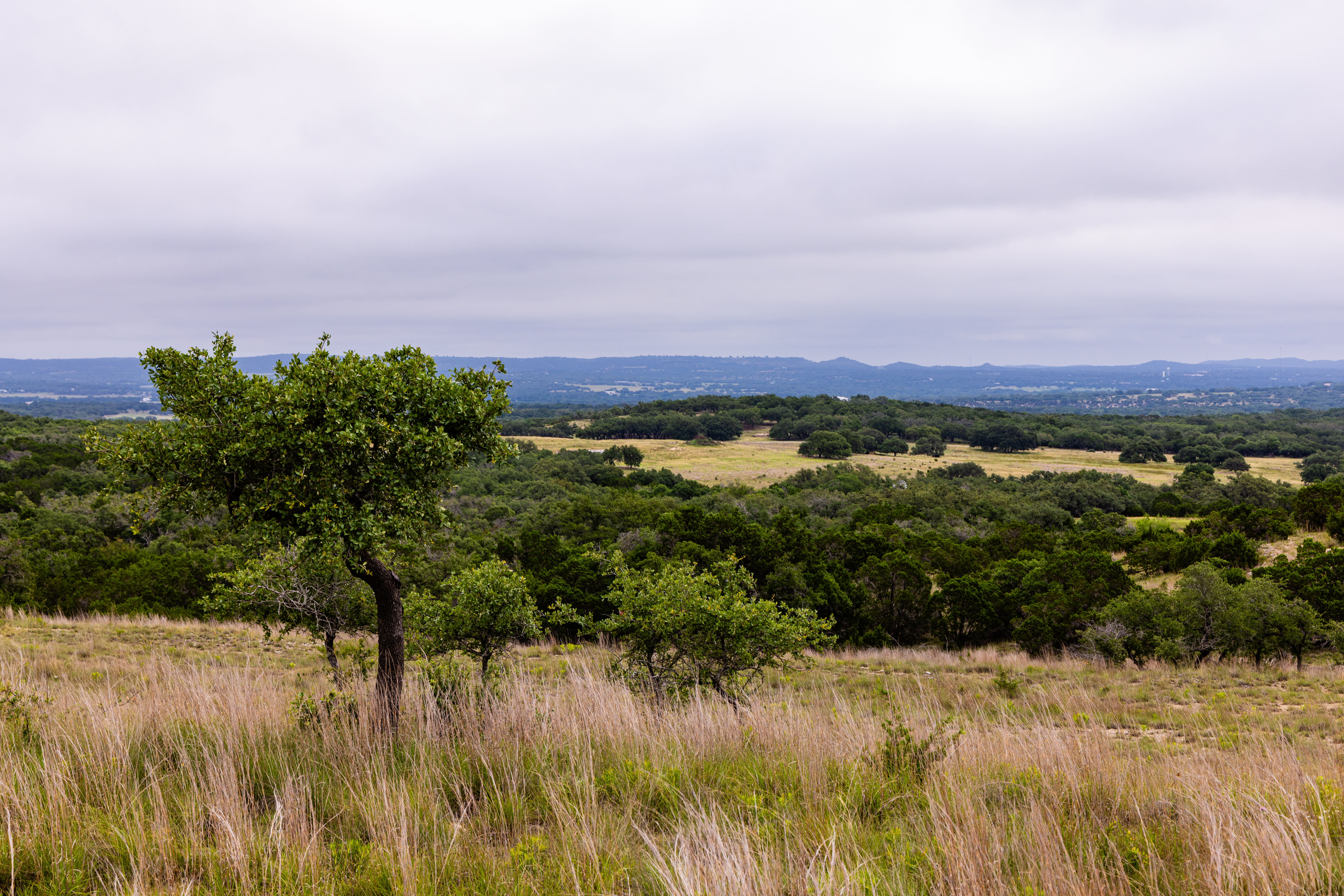  Expansive 10-Acre Lot - 物件實景