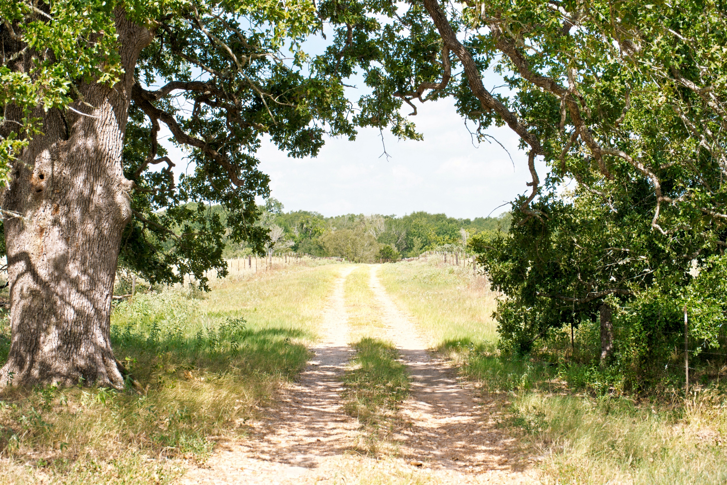  Bar Nothing Ranch, Fayette County - 物件實景