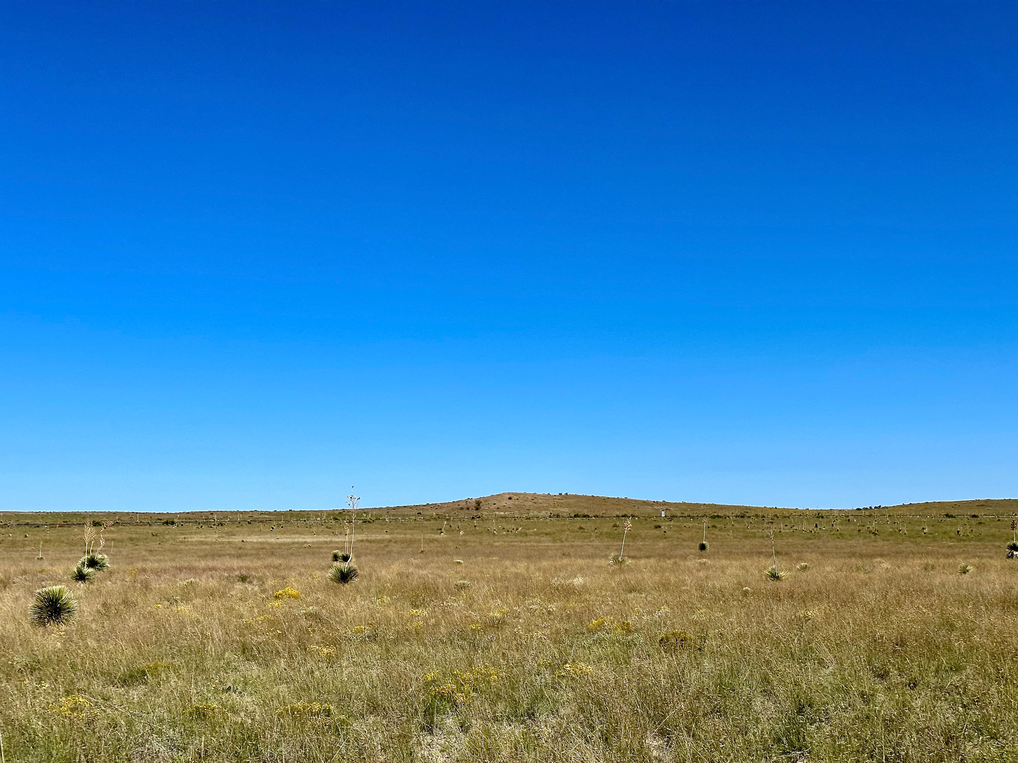  18311 Hwy 90, Marfa, TX 79843 - 物件實景