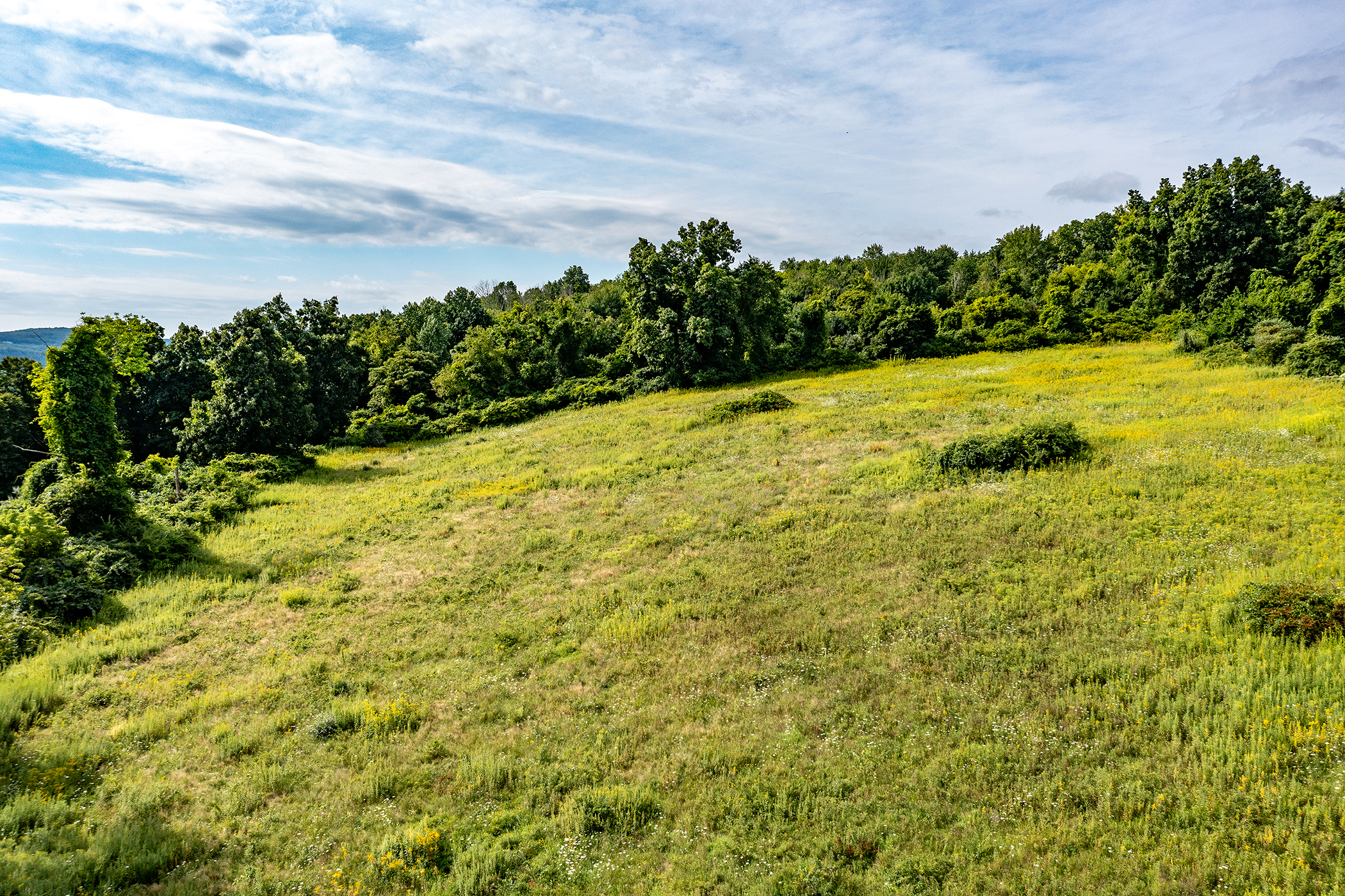  Spooner Hill Road - 物件實景