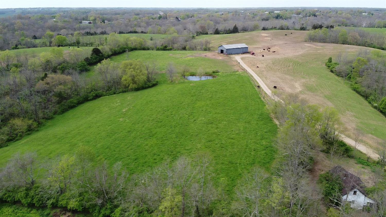 1400 Curtis Pike, Richmond, Kentucky, 40475, United States, ,Land,For Sale,1400 Curtis Pike,1616978