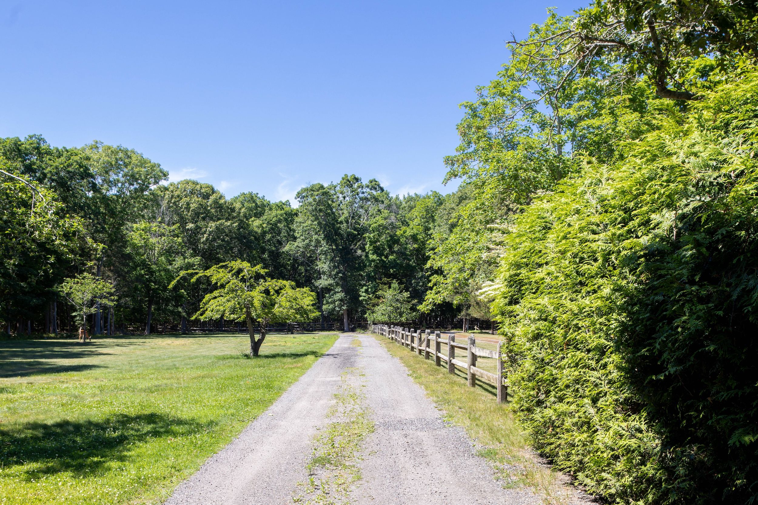  300 Terry Path, Mattituck, NY 11952 - 物件實景