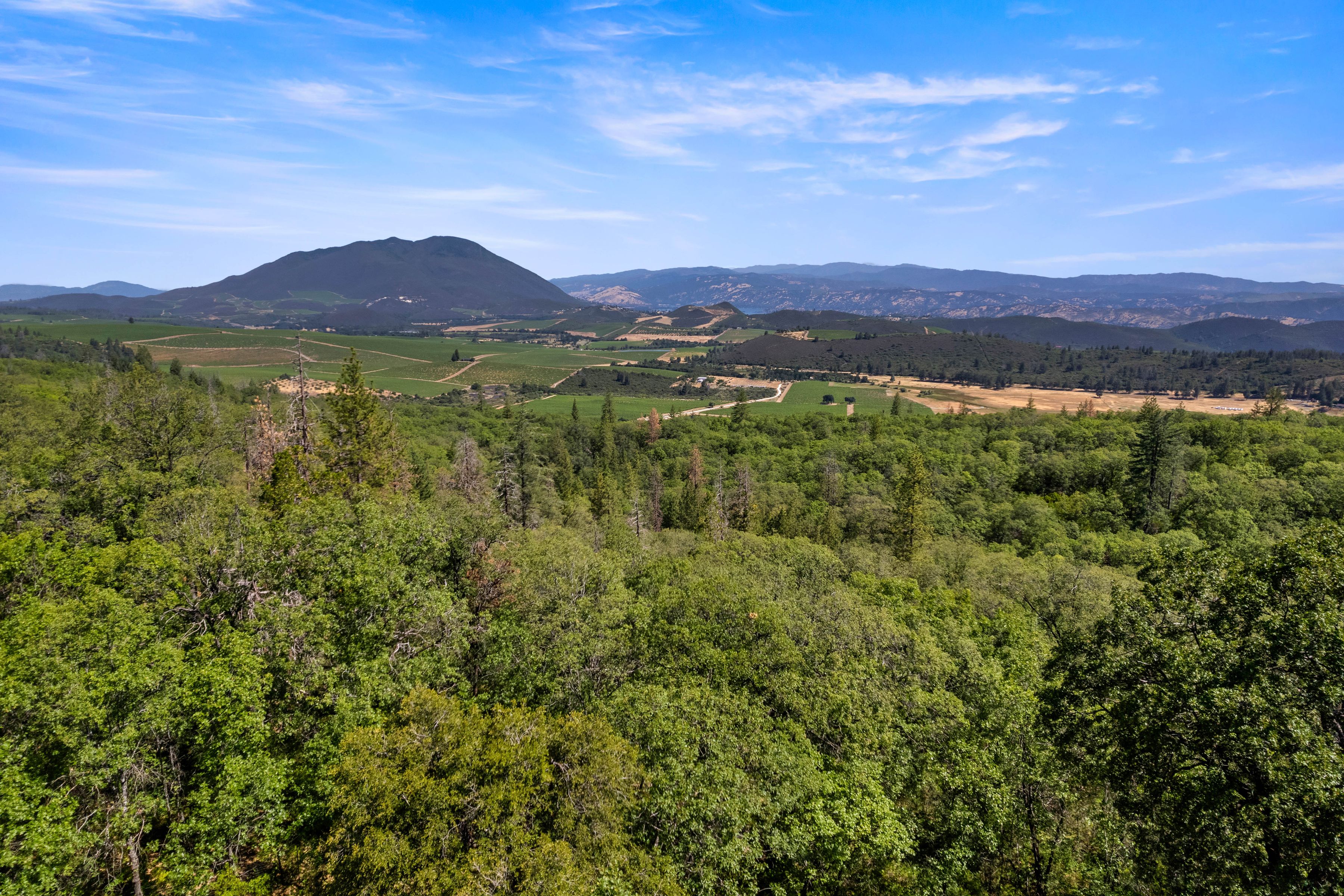  10550 Seigler Springs North Road - 物件實景