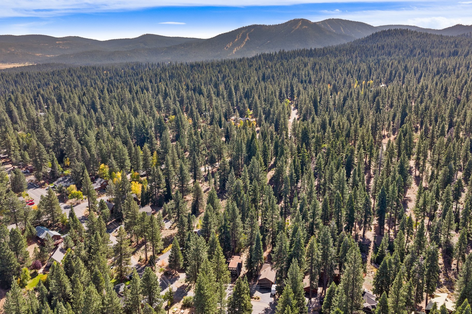  Modern Mountain Retreat Backing to Forest Service Land - 物件實景