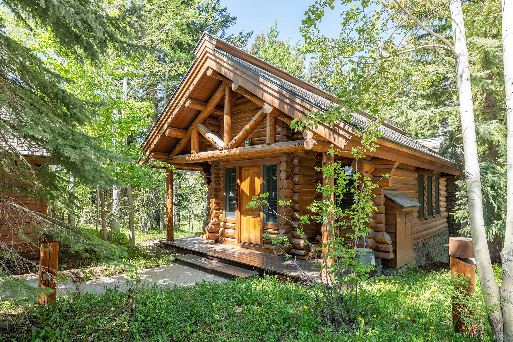  Ski-In Ski-Out Luxury Cabin  Jackson Hole Mountain Resort  Teton Village WY - 物件實景