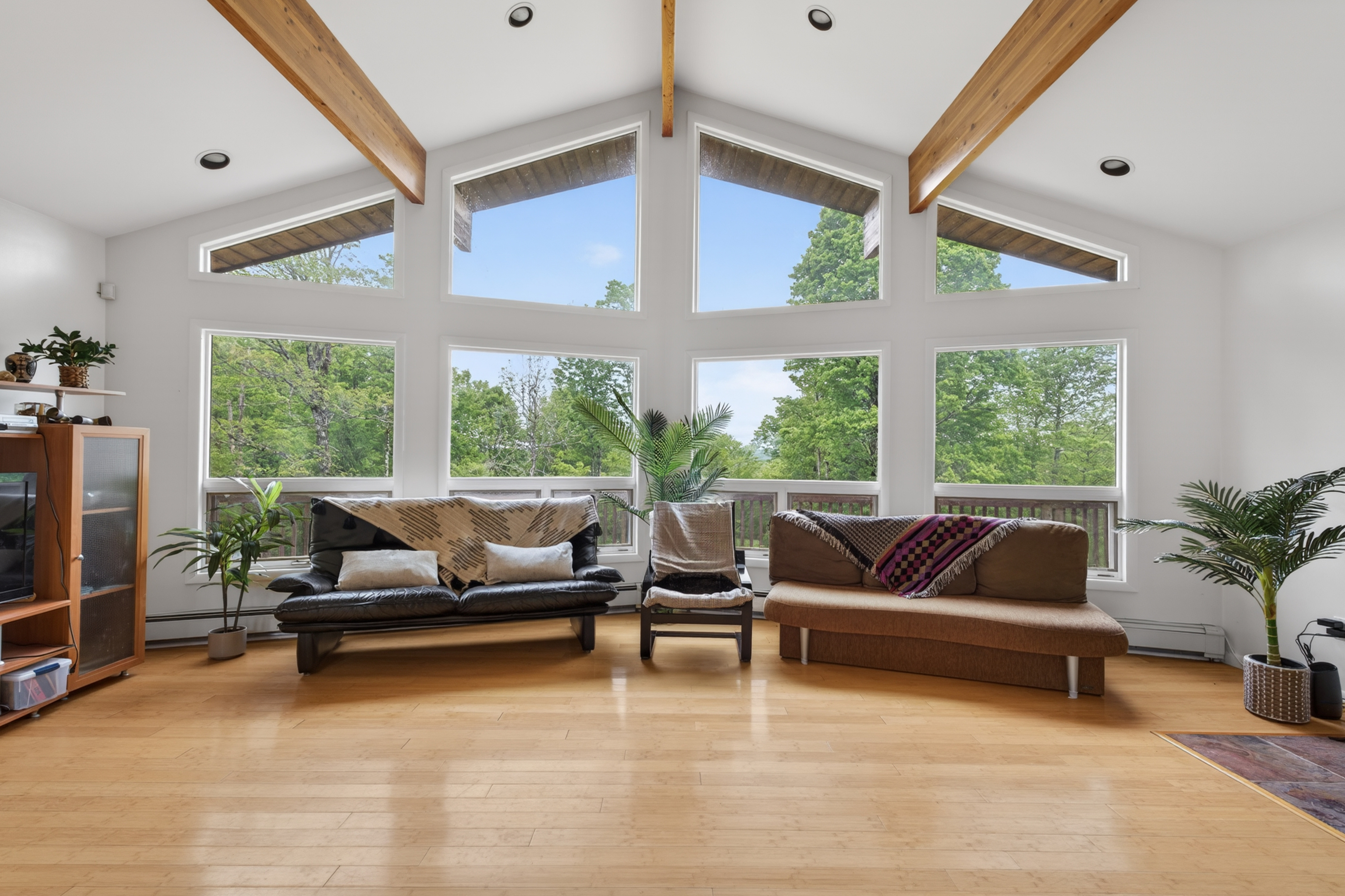 81 N Pond Drive, Livingston Manor, NY, 12758 - 物件實景