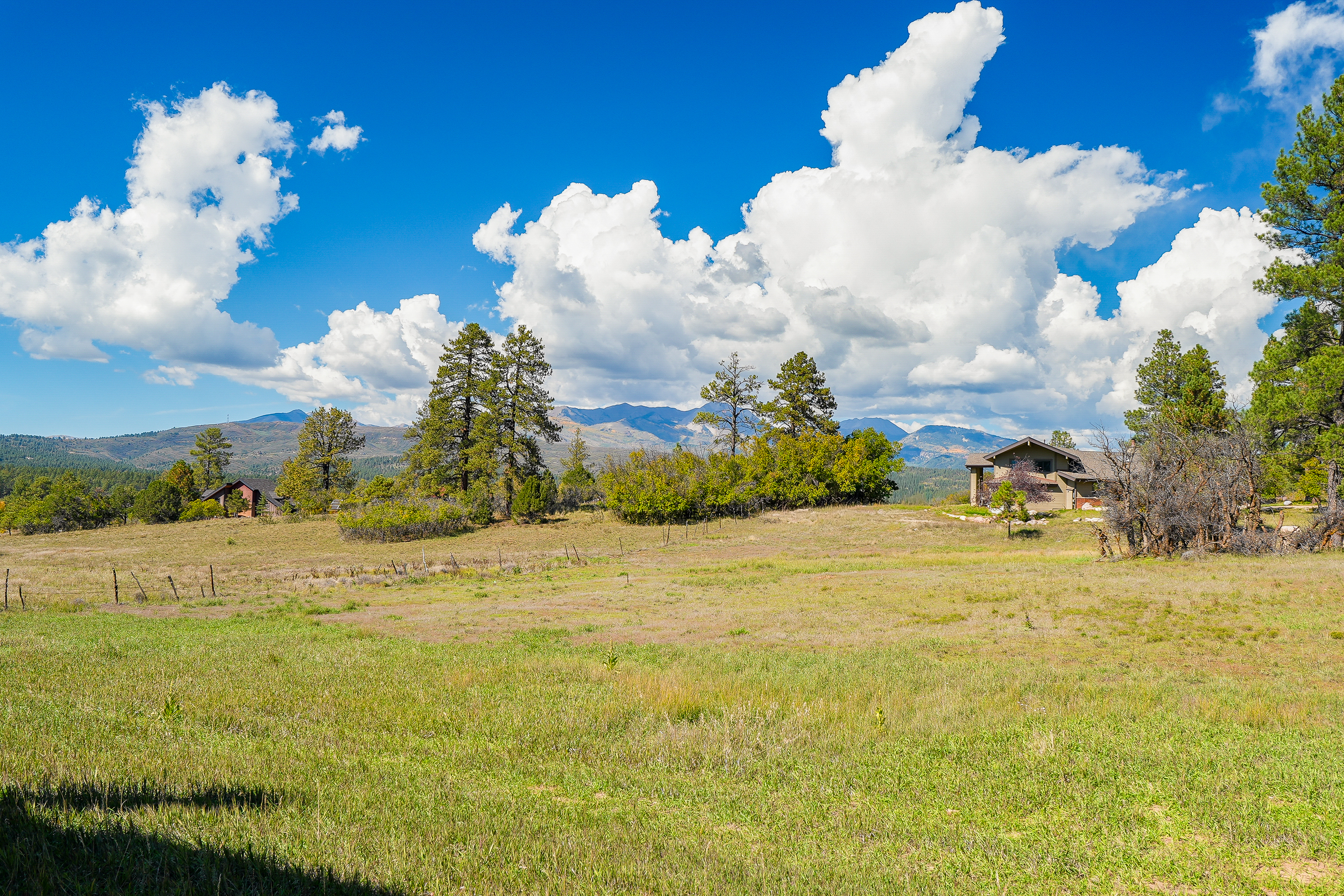  217 South Elk Run, Durango, CO 81303 - 物件實景